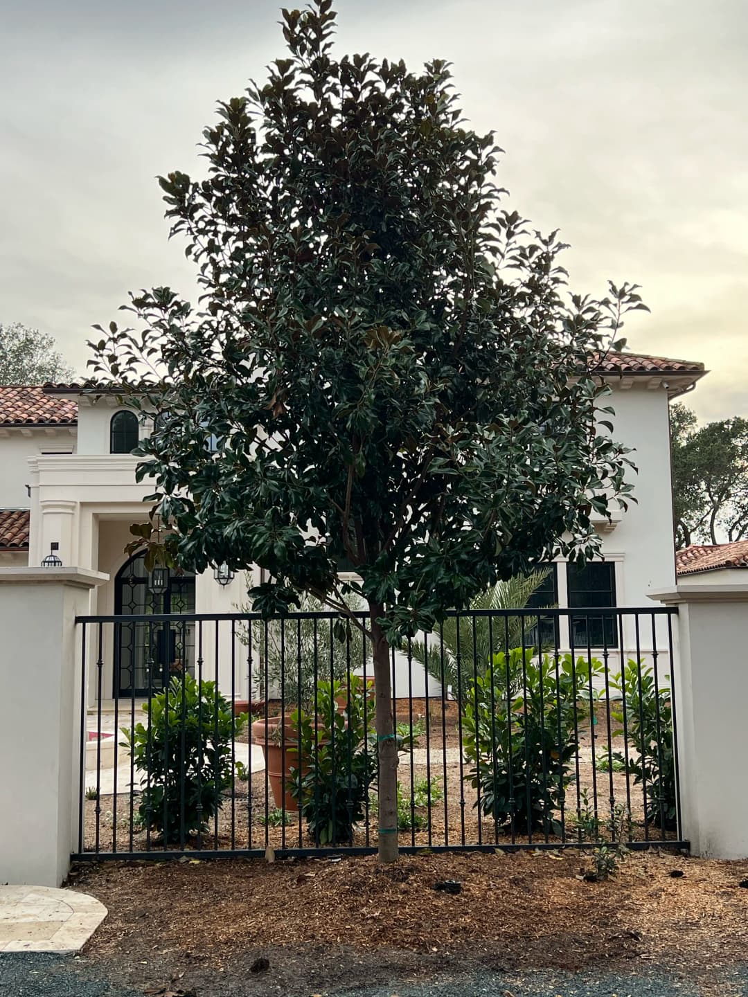 Expert landscape design and hardscaping services creating stunning residential outdoor environments