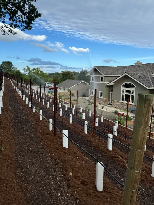 Irrigation Systems in Woodside, California